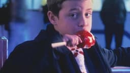 L’arbre de les cireres