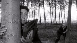 The Teacher from Vigevano